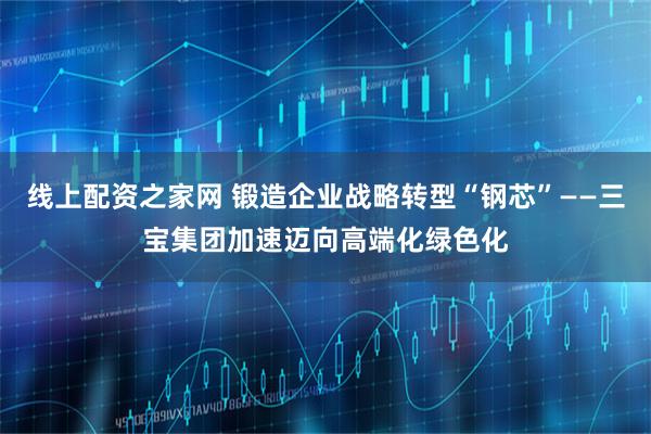 线上配资之家网 锻造企业战略转型“钢芯”——三宝集团加速迈向高端化绿色化