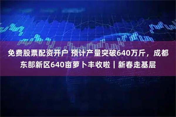 免费股票配资开户 预计产量突破640万斤，成都东部新区640亩萝卜丰收啦｜新春走基层